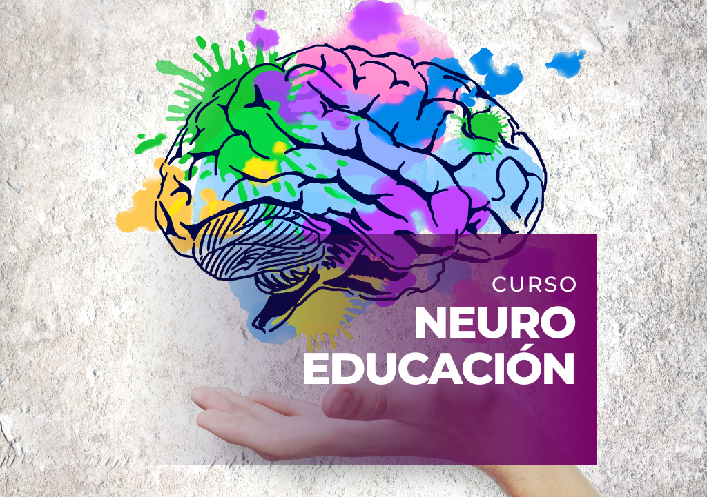 Neuroeducación Parvularia Profes de Hoy